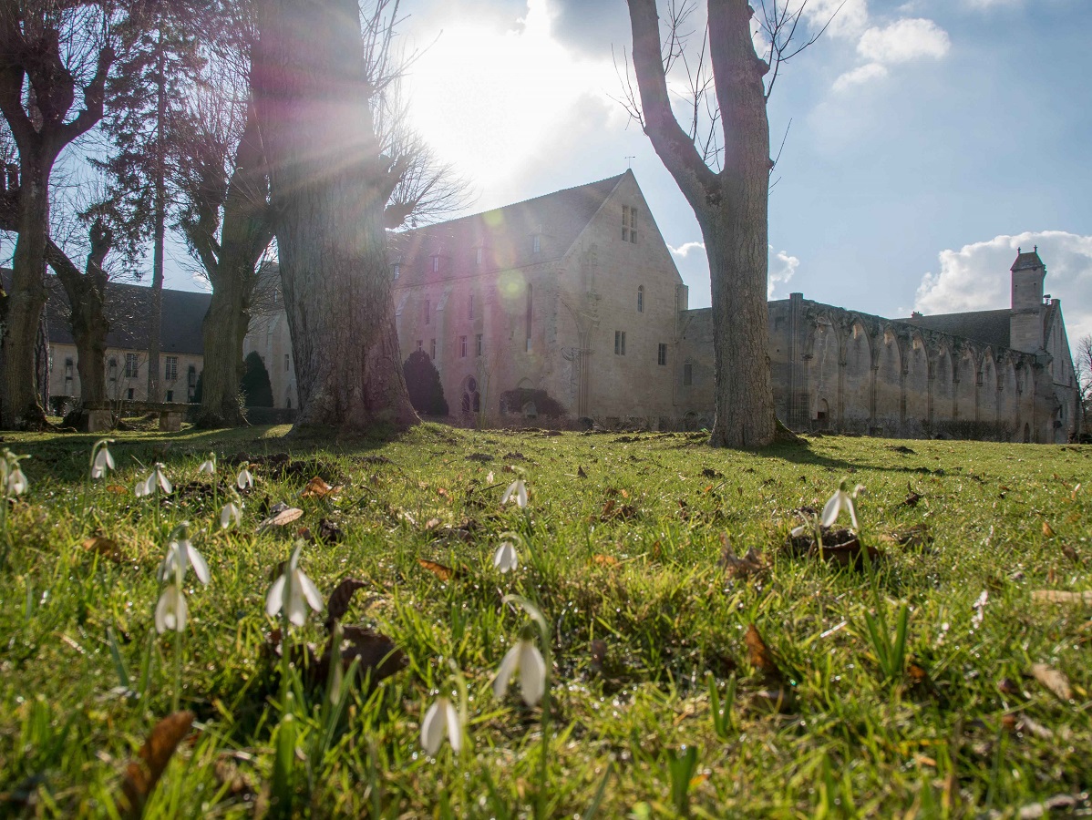 vue du parc de l'abbaye de Royaumont